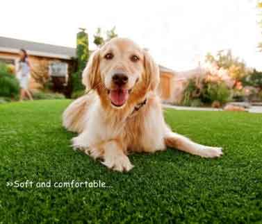 45MM - Natural Green 2M product view Melbourne | THQ