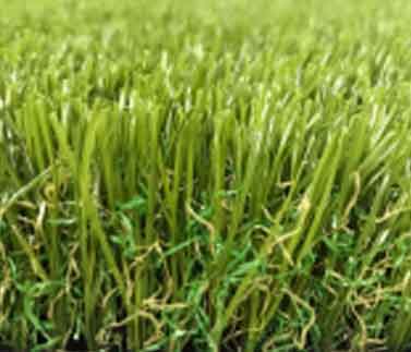 45MM - Natural Green 2M detail view Melbourne | THQ