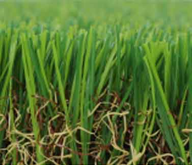 40MM - Natural Green 2M (QLD)