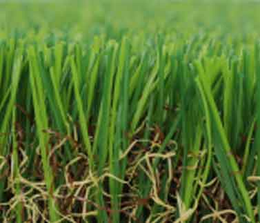 dark green - standard