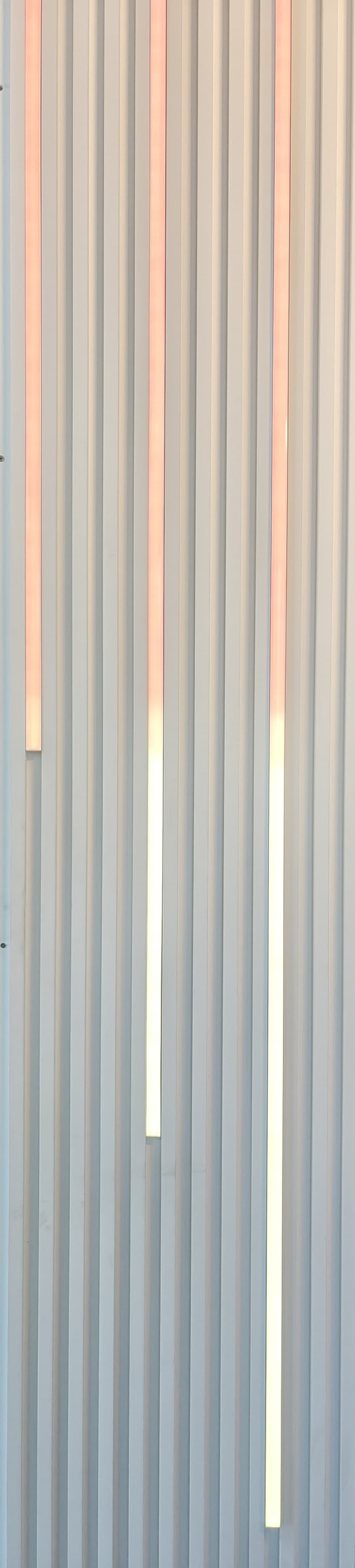 RGB LED Strip Light with Remote & App Control (QLD)