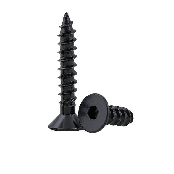 SS Screws T15 Pack of 100 (QLD)